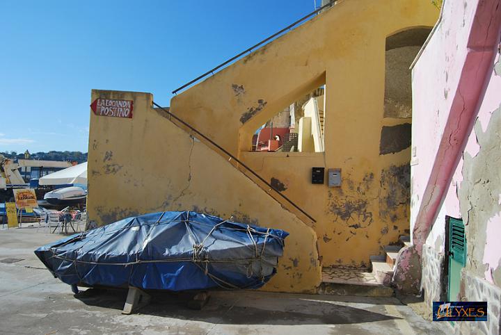 telo blu.JPG